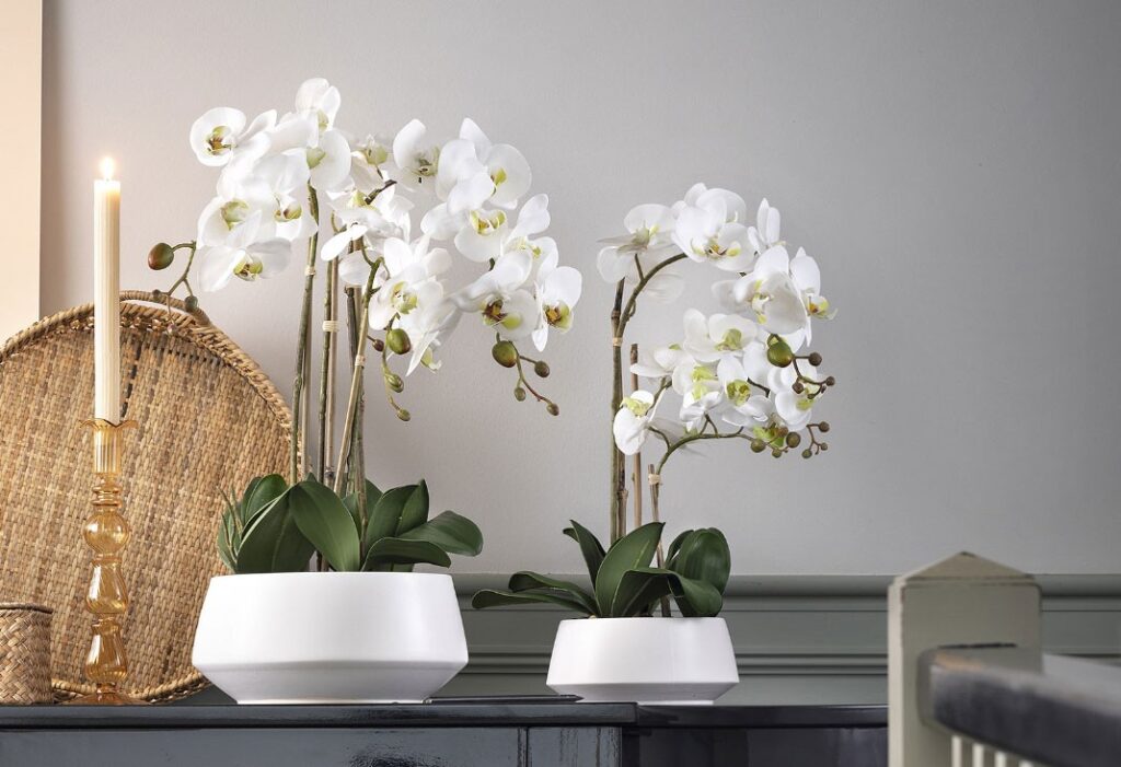 Pianta Orchidea con vaso bianco , REAL TOUCH