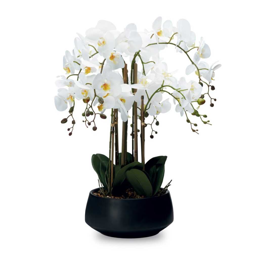 Pianta Orchidea 8 rami con vaso H. 70 cm. , REAL TOUCH