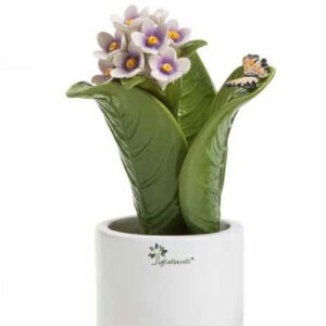 Pianta Natura piccola con vaso rotondo in ceramica di CAPODIMONTE e fragranza cm.14*22 cm.